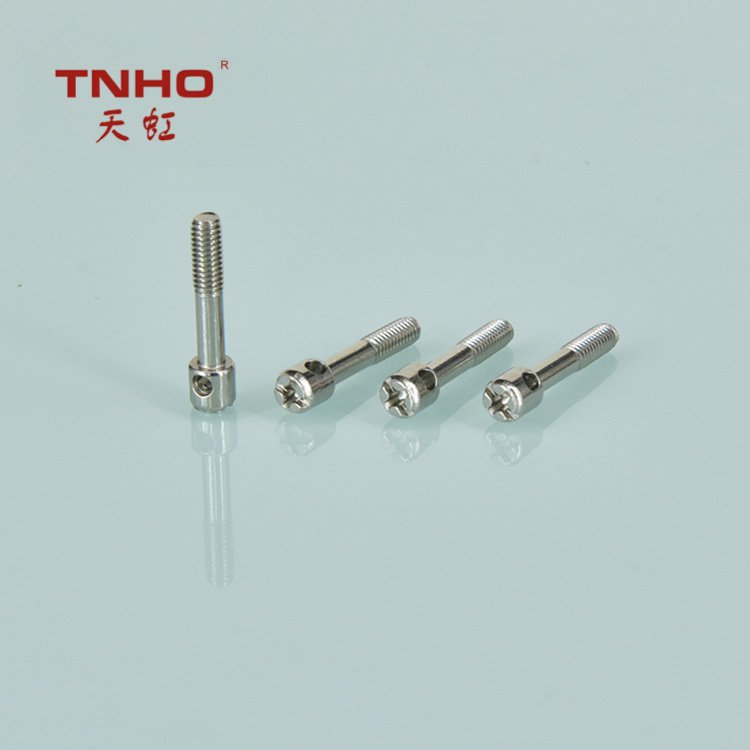 Stainless steel electricity meter screws